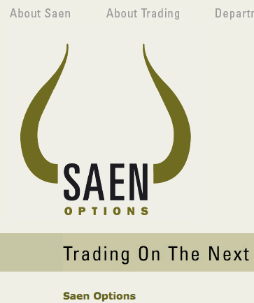 Ontwerp website Saen Options 2017 Ontwerp website Saen Options 2017